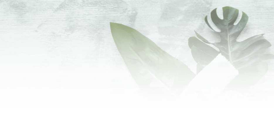 Aura Vital Ve